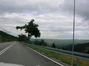 feliciatreffena10